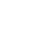 Avidyne Pilot Club Logo